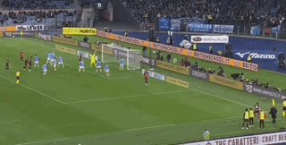 55.gif